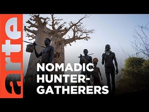 Madagascar: Guardians of the Forest | ARTE.tv Documentary