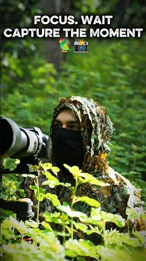 Feeding Time! Parrot & Her Little One 🐥💖 #nature #wildlife #viral