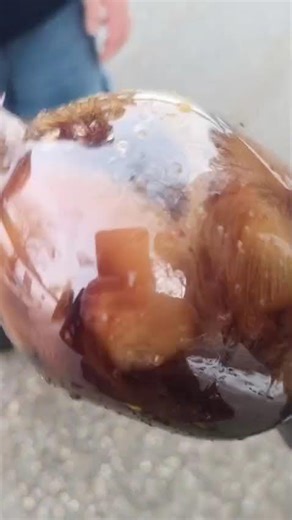 Cola Exploding#trend #viral #cola #explodes #mentos