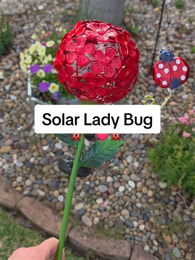 Solar Lady Bug🐞perfect addition to your garden or flower pots @QVC, Inc #ladybug #solarlights #gardendecor #greenish #tiktokshopspringglowup