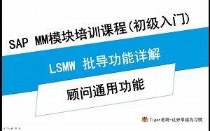 (先降低音量再进来)LSMW 批导功能详解_第一课