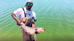 26K views · 335 reactions | Fishinglakesdotcom on Reels | Facebook