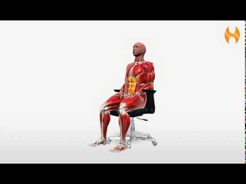 Exercise Videos- Seated Abdominal Bracing