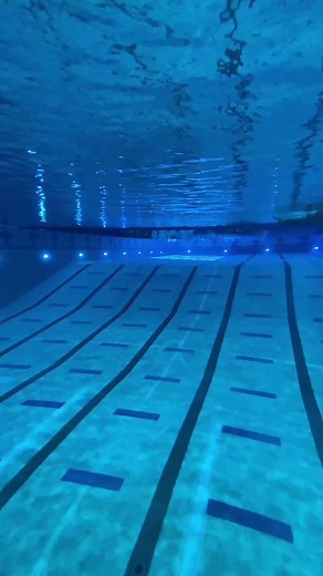 Underwater Swimming Techniques with a Male Swimmer