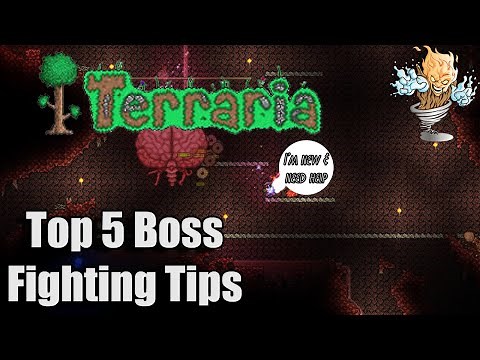 Terraria Top 5 Boss Fighting Tips | Terraria All Bosses