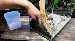 5.7K views · 115 reactions | I Made a Mini Indoor Pond, Here’s How! #terrarium #terarium | Jank gondek video | Facebook