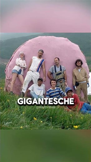 Sapevate della Presenza di questo coniglio rosa sulle montagne del Piemonte?