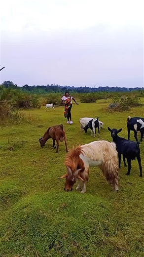 Jesus Dancing Video Compilation Featuring Jesca and Farouk