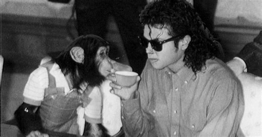 «Il le considérait comme son enfant» : que devient Bubbles, le chimpanzé de Michael Jackson ?