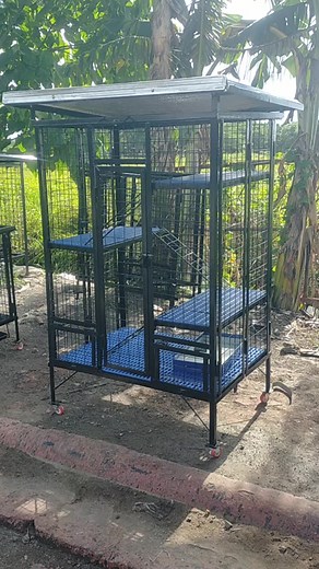26K views · 193 reactions | Cat cage folding ASEMBLE 3 layer shelves | Michael Modern Cage | Facebook