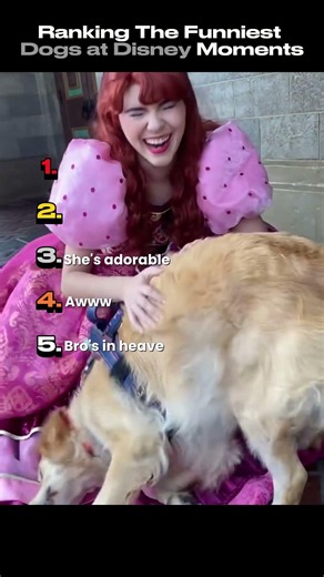 Ranking The Funniest Dogs at Disney Moments