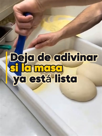 Leer la masa: tu secreto para una pizza perfecta