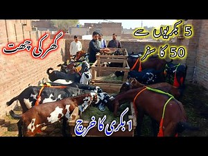 Successful Goat Farming Journey Of Rashid Bhai - Goat Farming Business