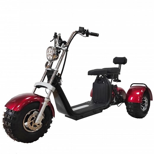 2000W Electric Scooter 3 Wheel Fat Tire Citycoco Trike Electric Tricycle HT3 45km/h