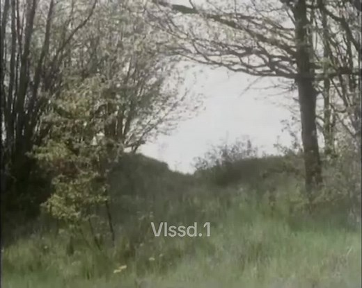 Exploring the Mighty STRV-103 Tank