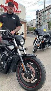 2009 Night Rod Special Walkaround