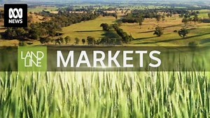 Markets: Prices and analysis with Matt Brann