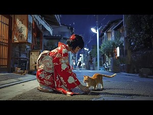 [playlist] 眠れない夜、そっと心に寄り添うラブソング