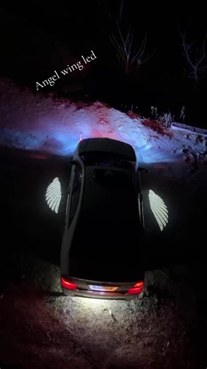 The Charm of Angel Wing LED Decorations