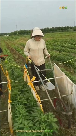 Smart Farmer : “ Creating Simple tool spraying chemical for farming.”