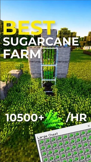 BEST SUGAR CANE farm Minecraft bedrock 1.21/26.1+!