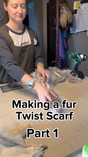 Making a fur twist scarf Part 1 This is a great DIY project, sew the pieces by hand if you don’t have a fur sewing machine! . #furtrapping #trapline #beavertrapper #beavertrapping #coyotehunting #coyotetrapping #foxtrapping #predatorhunting #predatortrapping #trapping #deerhunting #furhandling #raccoontrapping #safariclub #coondog #oddities #bearhunt #bearhunting #meateater #fuledbynature #taxidermy #taxidermist #furrier #fursewing #hidetanning #tannery #hunting #hunter #biggamehunter | Darling 