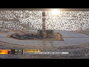 California Solar Plant Sets Birds on Fire Midair