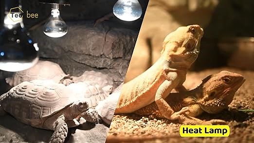 Techbee 24 Hour Timer with Cycle Timer and Countdown(2 pack)