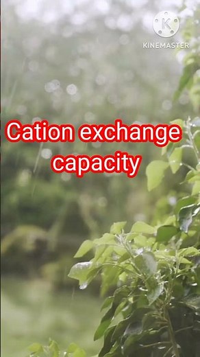 Humic acid for plants - Chemical, Physical and Biological benefits. Must Know... Subscribe for more