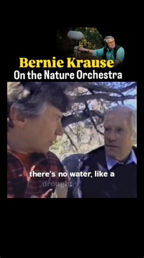Plus94 Records | Bernard Krause is an American musician and soundscape ecologist. In 1968, he founded Wild Sanctuary, an organization dedicated to the... | Instagram