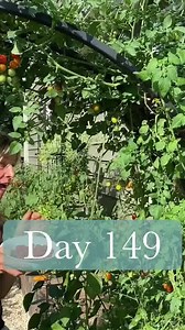 332 reactions · 120 shares | Join Me Now for a Garden Planning...