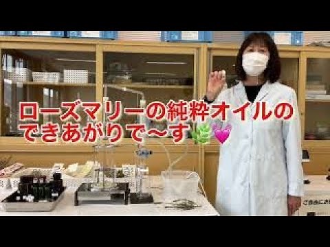 ローズマリーの１００％オイルの抽出