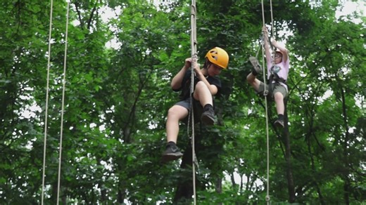 Cool Camps: Campers explore the woods with tree climbing