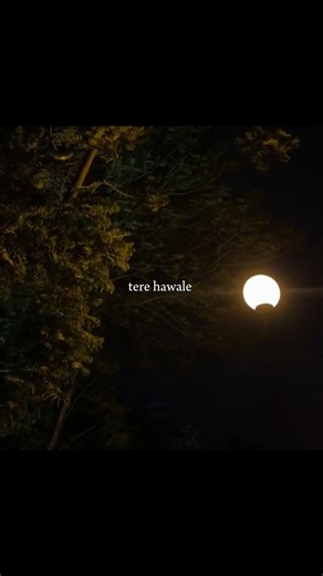 Tere Hawale 🥀❤️ #LyricsVideo #TrendingSong #ViralShorts #LyricalVideo #LoveSong #Hindisong