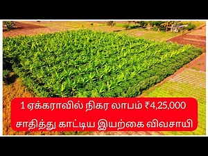 சமவெளியில் ஏலக்காய் விவசாயம் | subhash palekar 5 layer model tamil | vivasaya nanban
