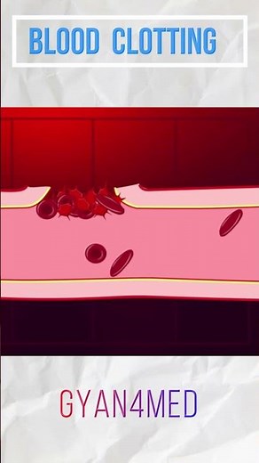 Blood Clotting - Factors for Clot Formation