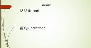 SSRS Report Chapter4 Indicator