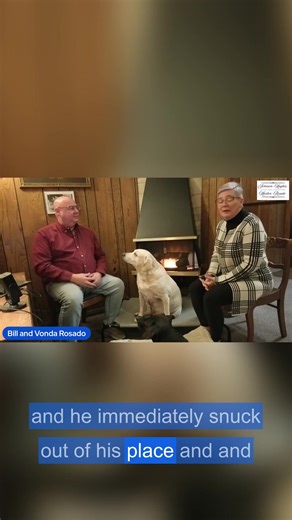 When they adopted Neji from the Perry County Humane Society, they had no idea he’d eventually become our most requested "staff member." In our latest episode of Beyond the Funeral Service, Vonda and Bill share the story of the exact moment they realized Neji had a gift for sensing grief. From nudging the hand of a mourning widow to helping a scared child feel brave enough to walk through our doors, Neji is proof that sometimes comfort comes with four paws. We also talk about: ✅ The specialized t