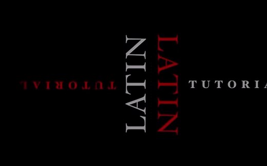 Basic Latin Essentials