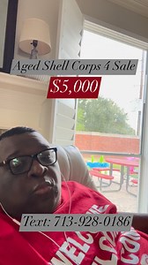 Aged Shell Corps 4 Sale $5,000 #alterrihenriinvestments #askalterrihenri #henrifamily #mentors #GodIsTheGreatest #richbusinessman #mentorship #richlifestyle | Alterry Henry
