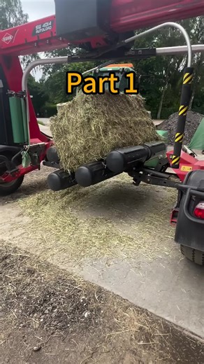 Handling Family Conflicts: A Thoughtful Response