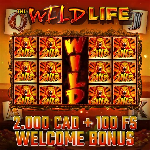 The wild never sleeps — and neither do the wins. Hundreds of Canadians are hitting real payouts every day on Wild Life. Spin hard, win big, and cash out straight to your account. Your next wild win is just one spin away🦁 | Wild Life Slots