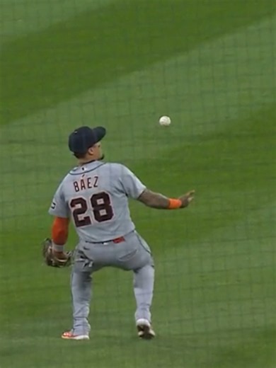 Just getting his touches in 😅 Javier Báez with the juggling catch for the @tigers! #mlb #baseball #catch #juggling #sports