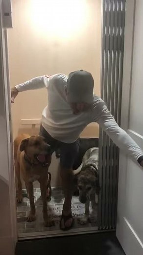 Home Elevator Installation