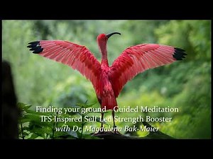 10 Minute Guided Meditation to Recover Your Calm Using IFS/ Grounding Meditation