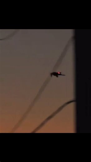 The RQ-170 "Sentinel" stealth drone was seen coming back to Roosevelt Roads Naval Station in eastern Puerto Rico this morning after helping out with stuff in Venezuela. This is the first time we've publicly seen this thing in action. | Aviation Videos