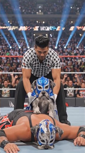 boxing withe dogs #foryou #wwe #boxing