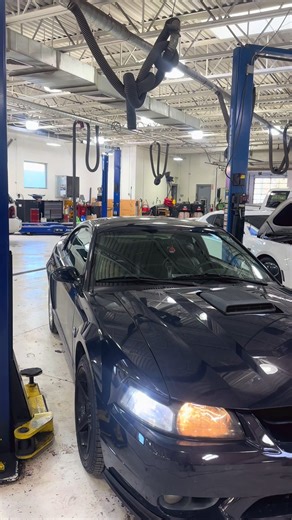 Exploring the Color of Ford Mustang GT