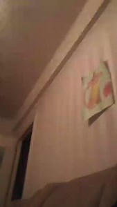 Софья @Sofia_1567