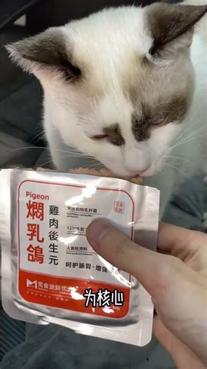 Top 3 Cat Meals for Happy Multi-Kitty Homes